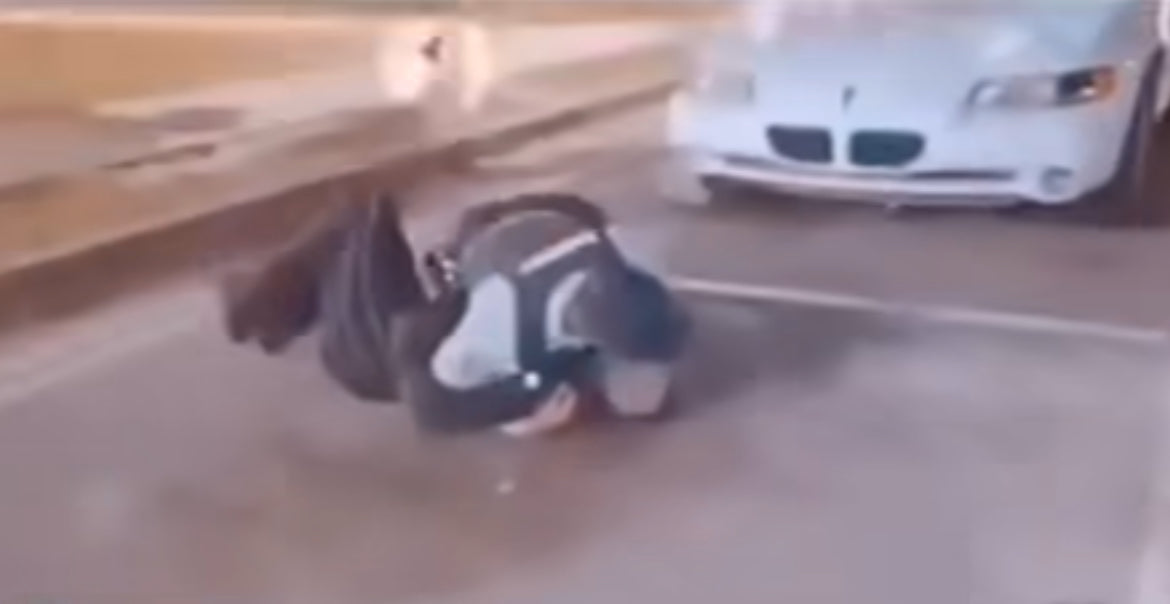 Energy System Development